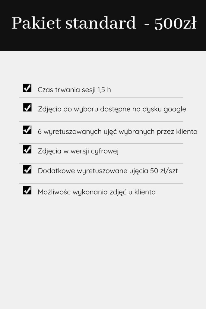 Sesja biznesowa - pakiet standard